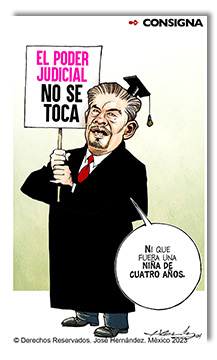 Consigna